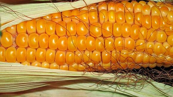 Czego nie jeść na diecie ketonowej